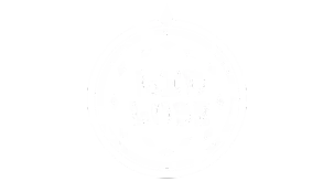 Website name