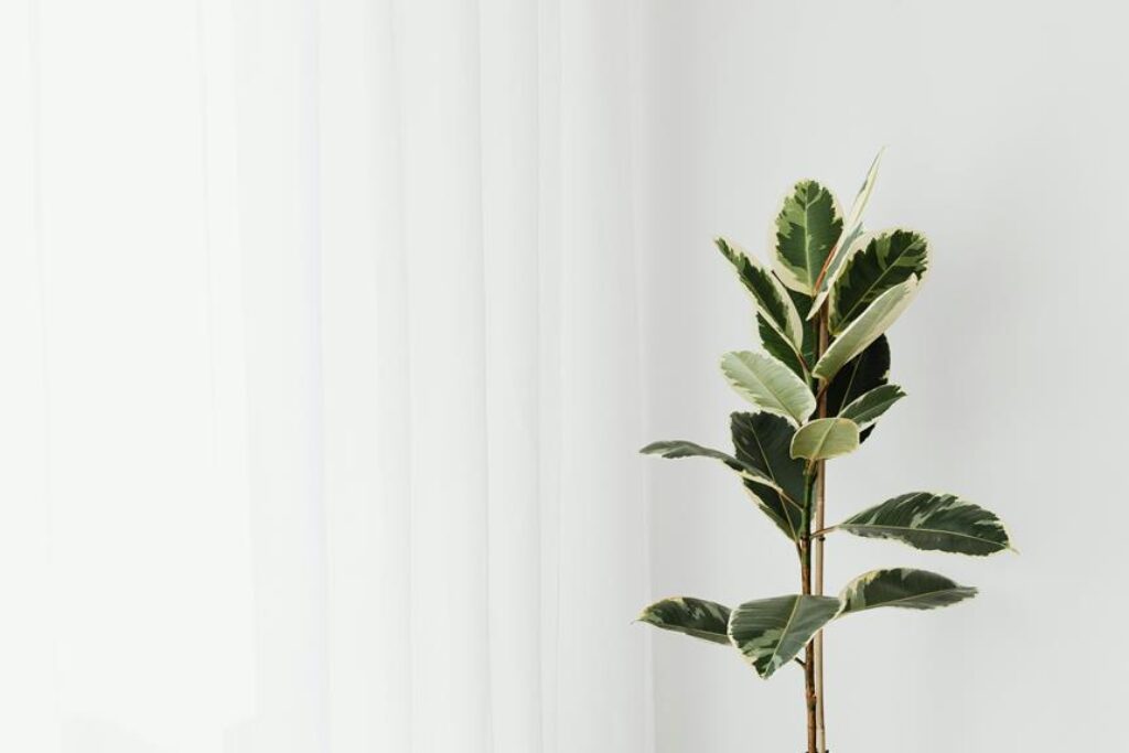 What Are the Best Wall Decor Options for Minimalist Interiors? What Are the Best Wall Decor Options for Minimalist Interiors?